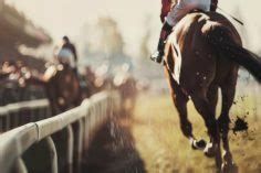 cplemaire pmu|CPLEMAIRE : ANNUAIRE HIPPIQUE DE REFERENCE .